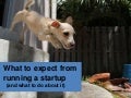 What to expect from running a startup