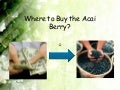 Where to Buy the Acai Berry- Why You Can&rsquo;t Just Toss Some In Your Cart!