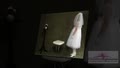 White First Communion Dresses for Girls-Style D1185
