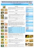 Poster26: Whiteflies and parasitoides associated with the cassaava crop in South America 