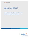 White paper  what is a peo-