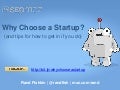 Why Choose A Startup?