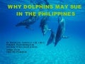 Why Dolphins May Sue In The Philippines
