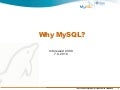 Why MySQL