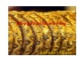 Why Gold Prices Are Rising