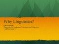 Why linguistics