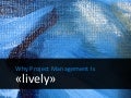 Why Project Management Is «Lively»