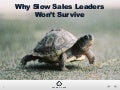 Why Slow Sales Leaders Won't Survive
