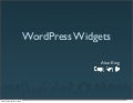 WordPress Widgets - Widget Summit 2008