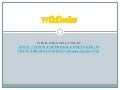 Wikileaks