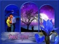 Wild Moon