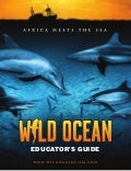 Wild ocean