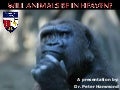 Will Animals be in Heaven?