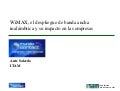 WiMAX ITAM