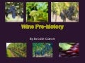 Wine Pre History