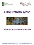 Wine Tasting Techniques