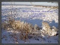 Winter in mariestad...