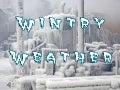 Wintry weather (v.m.)