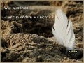 Wir wissen es.....