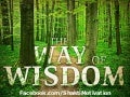 Wisdom Quotes - Shakti Motivation