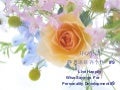 Wise sayings for happy living / 静思语使你开心生活(In English & Chinese) #9/9
