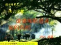 談談味精遭非議的真相 (With music)