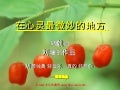 在心靈最微妙的地方 (With music)