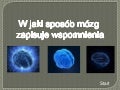 W jaki sposób mózg zapisuje wspomnienia