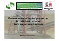 Development of Hydrolysis Route for Cellulosic Ethanol from Sugarcane Biomass