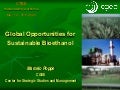 Global Opportunities for Sustainable Bioethanol