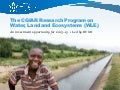 WLE Investment Plan