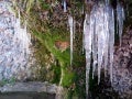 Wonderful Nature