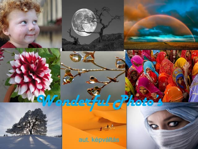 Prettiest Nature Photography