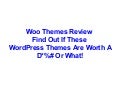 Woo Themes Review Only Read This If...