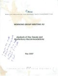 Working Group Meeting 3 - Analysis of Key Issues and Preliminary Recommendations
