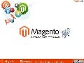 Conexão Magento SP