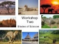 Workshop two