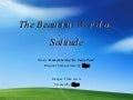 The Beautiful World Of Solitude