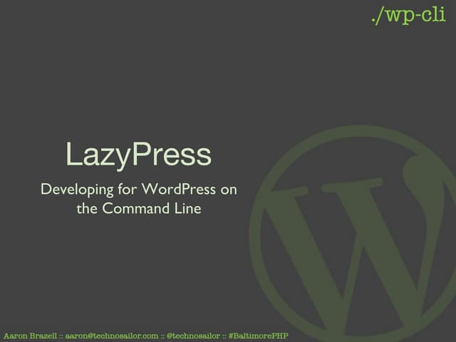 Wp cli