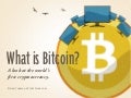 What is Bitcoin? (May 2011)