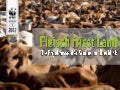WWF Fleischfrage: "Fleisch frisst Land"