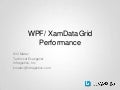 WPF/ XamDataGrid Performance, Infragistics Seminar, Israel , November 2011