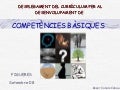 Competencies bàsiques