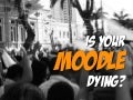 Xerte - Moodle Saviour