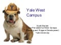 Yale West Part 1