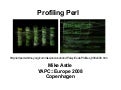 YAPC::Europe 2008 - Mike Astle - Profiling