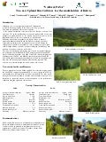 Poster32: YARA & PAYA Two new rice cultivars for the small-holders of Bolivia