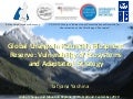 Global Change in Katunskiy Biosphere Reserve: Vulnerability of ecosystems and Adaptation Strategy [Tatyana Yashina]