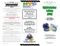 DDIH Yr 2 Brochure June 2010