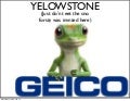 Yellowstonedathird